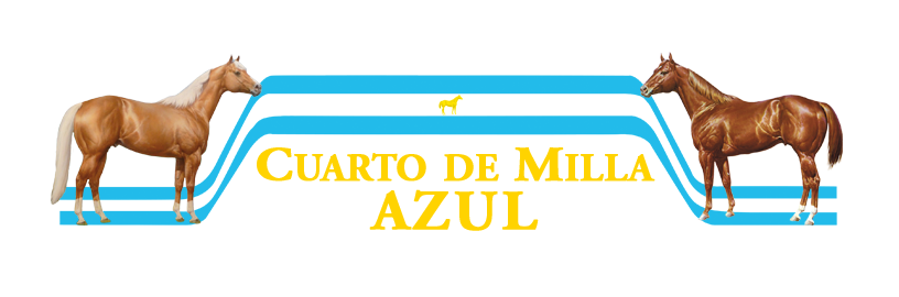 Logo Remate Azul