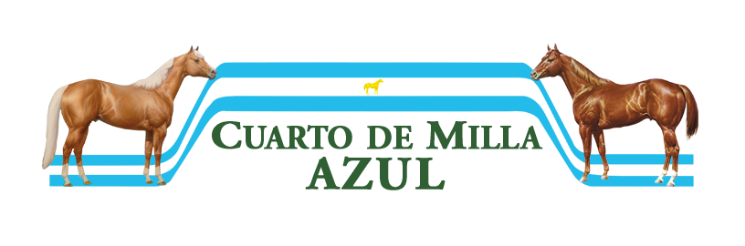 Logo Remate Azul